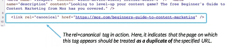 Image showing how to use canonical tags. 